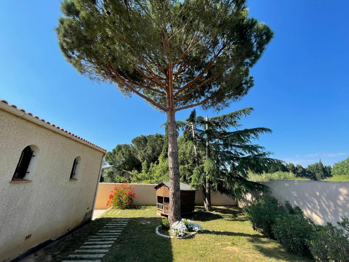 Annexe Des Pins - Studio Gite Avec Piscine & Climatisation Villeneuve-les-Beziers Ngoại thất bức ảnh